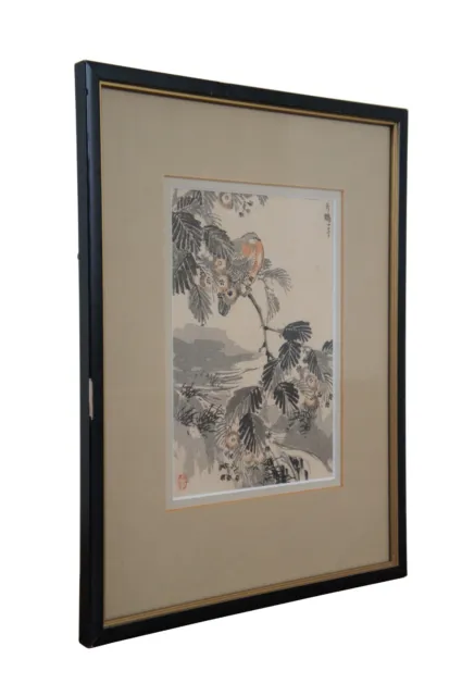 Antique 19th Century Japanese Kono Bairei Meiji Bird Flower Woodblock Print 14" 3