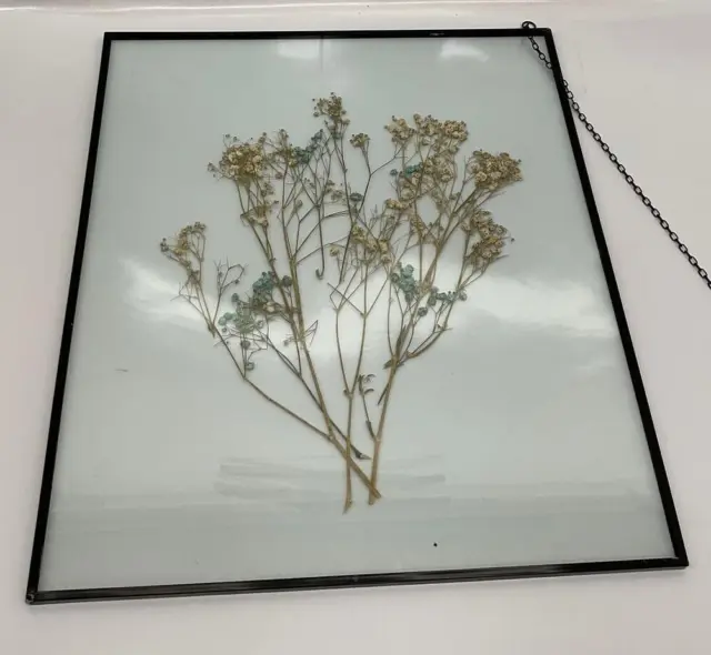 Latady Pressed flowers Art Double Pressed Flowers Glass Art Stained Glass Wall