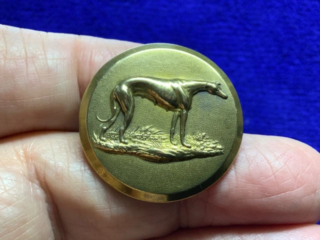GORGEOUS GREYHOUND BITCH GILT LARGE SPORTING BUTTON 29mm HT&S 1823-1837 w Crown