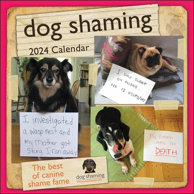 DOG SHAMING CALENDAR 2024 Humour Month To View 11 99 PicClick UK