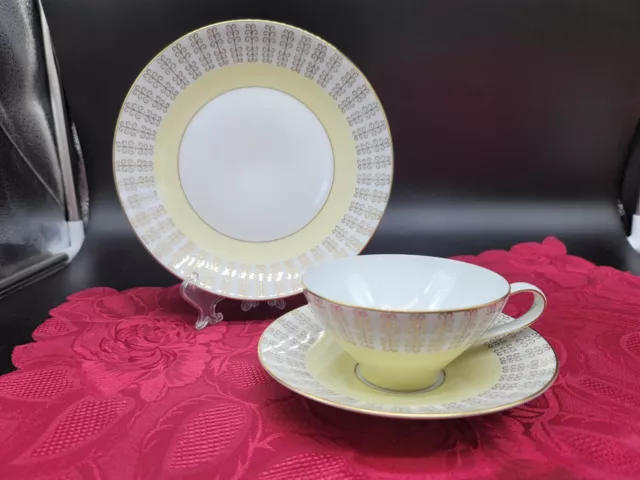 Vintage Rosenthal Germany Tea Set pattern 3386 1960s mark Fine bone china, Mint!