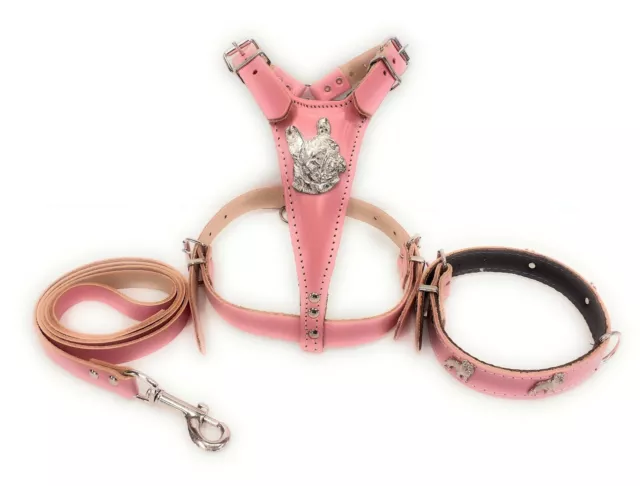 Beautiful Baby Pink Leather Dog Harness, Collar and Lead Set for French Bulldog