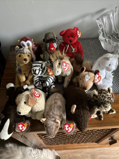 Ty Beanie Babies Collection Bundle