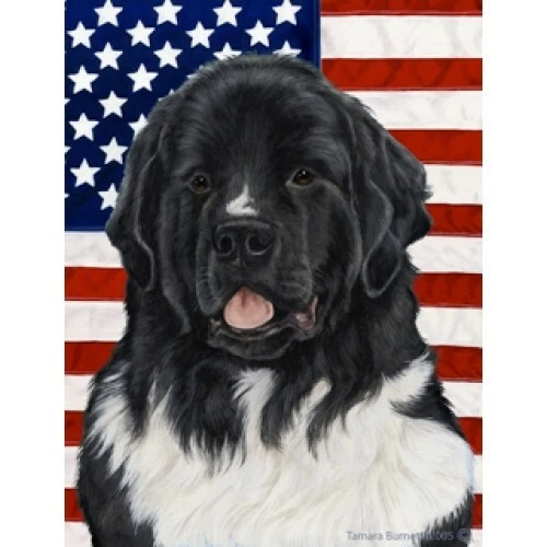Patriotic (D2) House Flag - Landseer Newfoundland 32241