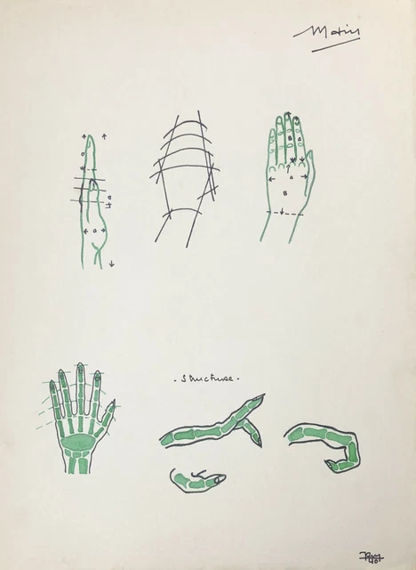 ZEICHNUNG VINTAGE 1940 Studie Anatomie Hand Finger Phalanx Art Déco #13