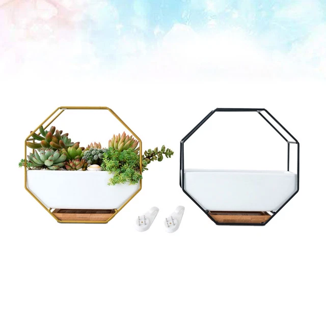 Octagonal Geometric Storage Rack Hanging Wall Glass 7
