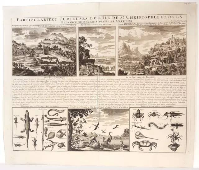 Antique map, Chatelain, Particularitez curieuses de l’ile de St Christophle 1719