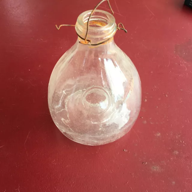 Ancien piège à guêpes en verre vintage