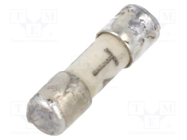 Céramique, Cylindrique Fusible Sécurité : Schmelz 125VDC 125VAC 4A