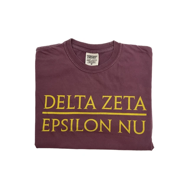 Delta Zeta Sorority Long Sleeve T Shirt - Comfort Colors Epsilon Nu - Men's M
