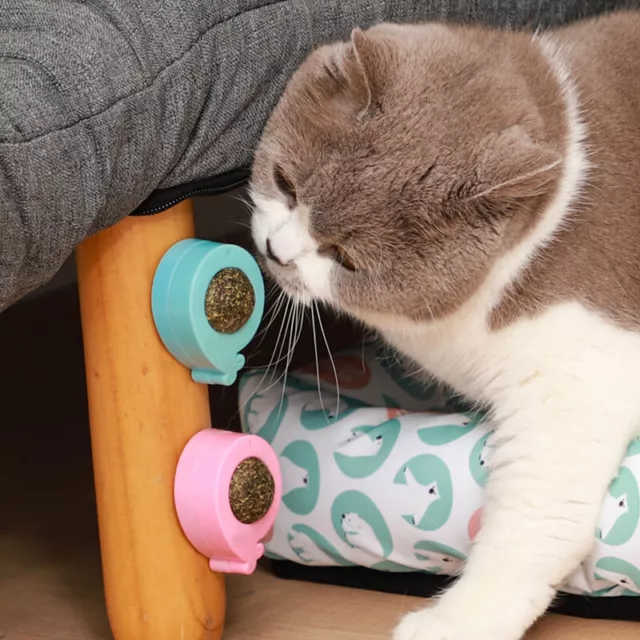 Boule D'herbe À Chat Rotative Pour Animaux De Compagnie Jouets Muraux F