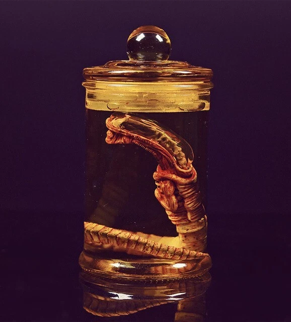 ALIEN GLASS JAR Xenomorph Specimen Embryo Alien Glass Jar Movie Prop ...
