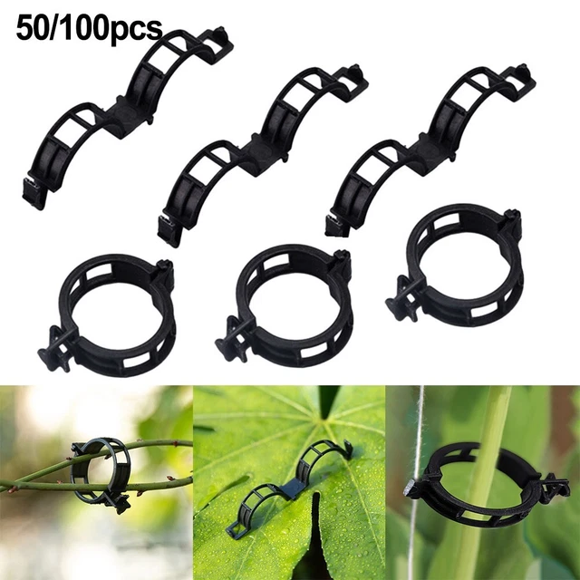 BokWin 300 Clip Di Supporto Per Piante In Plastica Trasparente - Fermagli Per Pomodori, Cetrioli E Viti - Diametro 25mm - Riusabili E Resistenti