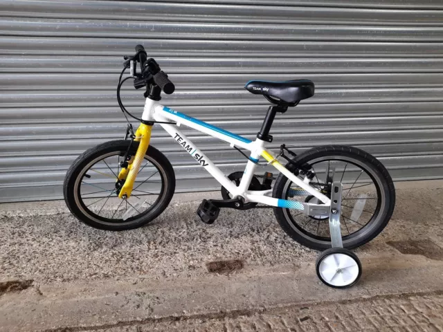 LIMITED EDITION TEAM Sky Frog 48 16