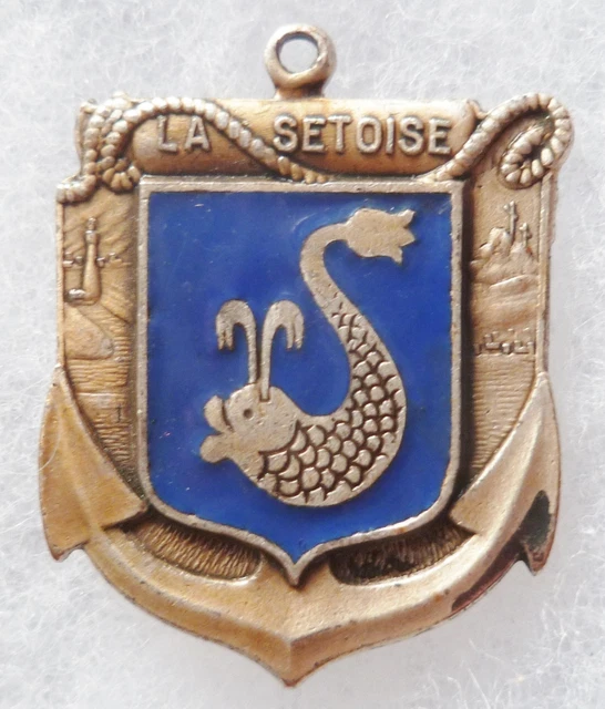 Insigne de combat de la flotte de haute mer - Wikipédia
