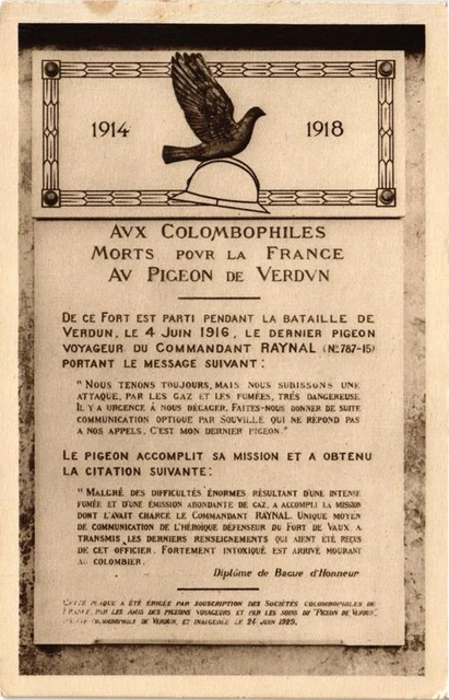 CPA AK Aux Colombophiles Morts for France Au Pigeon de Verd MILITARY (731221)