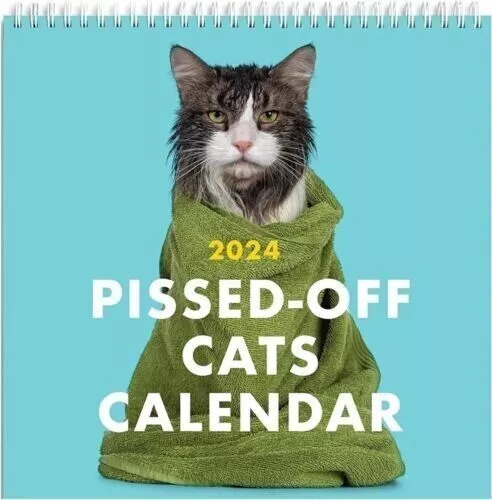 CALENDRIER DE CHAT médiéval laid 2024 Weird Cat Calendar