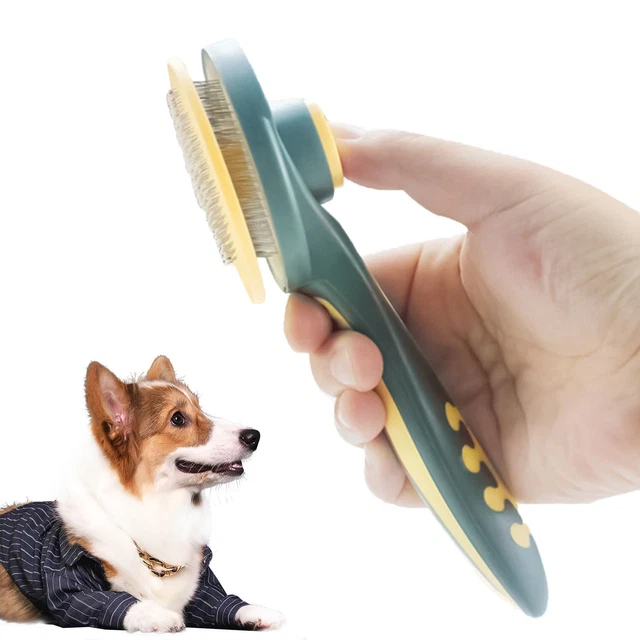 Nettoyage des poils de chien Produit de beauté pour animaux de compagnie