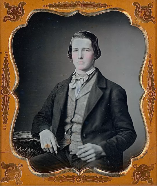 Handsome Young Man Longer Hair Plaid Tie Tinted 1/6 Plate Daguerreotype M169