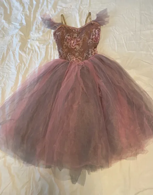 Adult Small Mauve Ballet Dress with Pink and Sea Gray Layered Tulle Skirt
