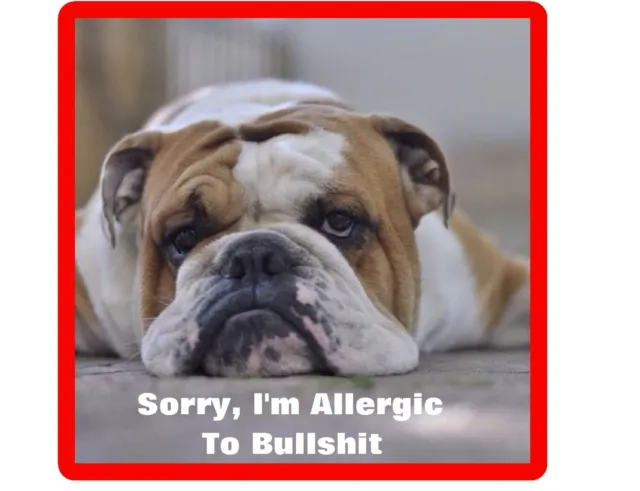 Funny English Bull Dog Allergic To BS Refrigerator / Tool  Box  Magnet