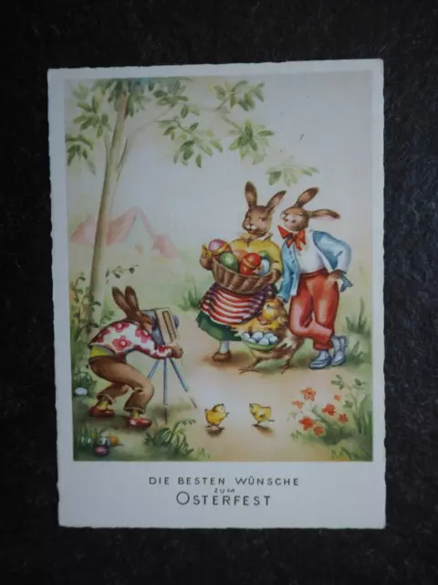 Alte AK , Ostern , Osterhasen beim Fotografen , (K285)