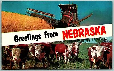 Dual View Banner Greetings From Nebraska NE UNP Chrome Postcard J13