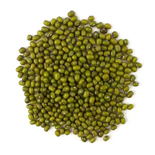 Organic Mung Bean Sprout Seeds