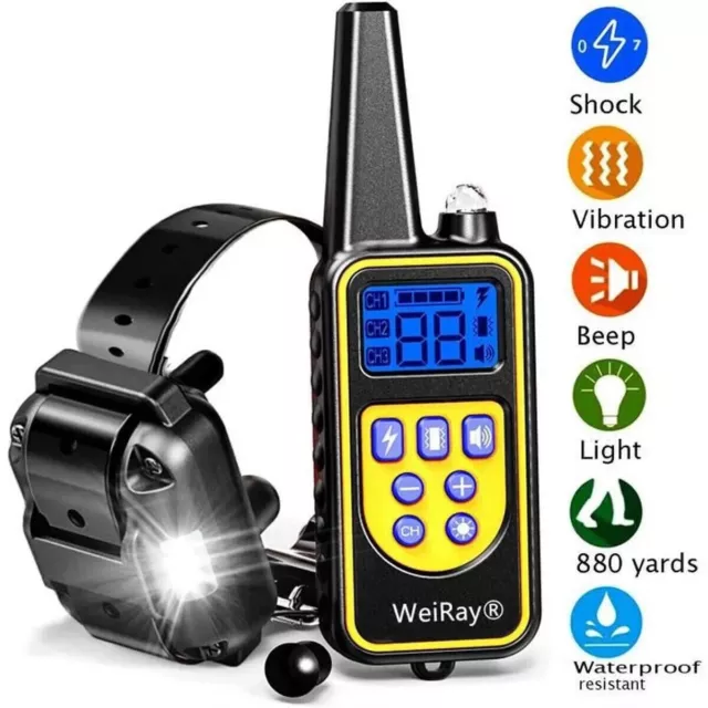 Collier Electrique Entraînement Dressage Chien Télécommande 800m Rechargeable