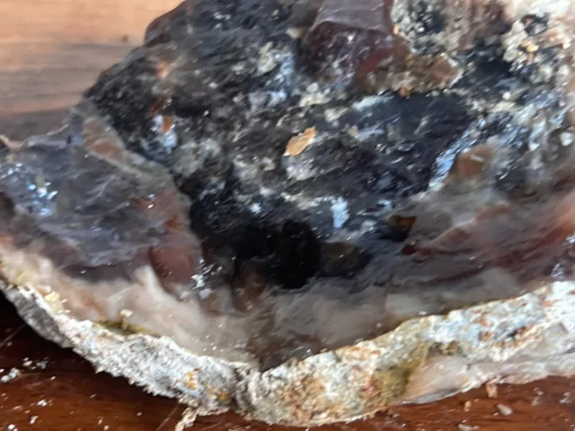 petrified wood opal agate chalcedony fire opal raw lapidary decor