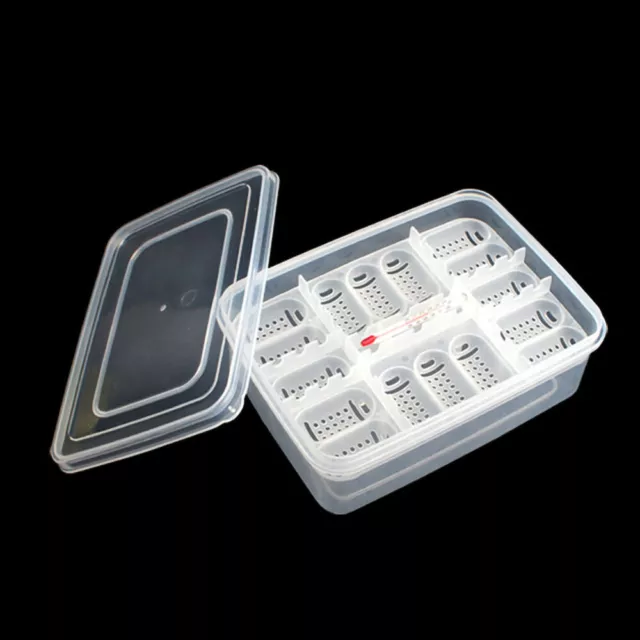 Reptile  Tray Reptile  Box Reptile Breeding Box Reptile Incubation G3Y4