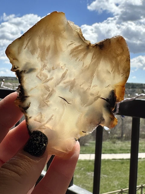 Plume Agate Slab 2.9 Oz Cab Jasper A154