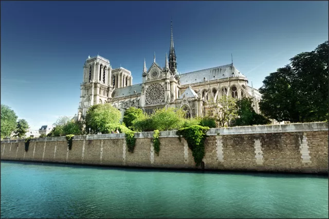 VINYL Fototapete XXL TAPETE Paris Notre Dame 443