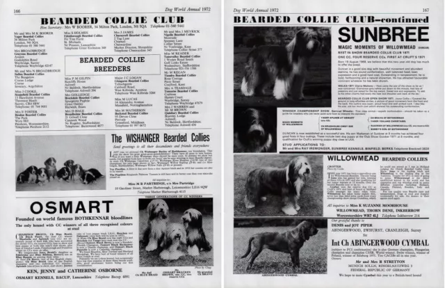 Bearded Collie Club Dog Kennel Advert Pages Dog World 1972 Various Kennels