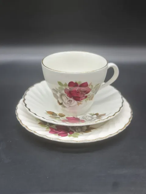 James Kent Old Foley Staffordshire Trio Cup Saucer Plate Floral