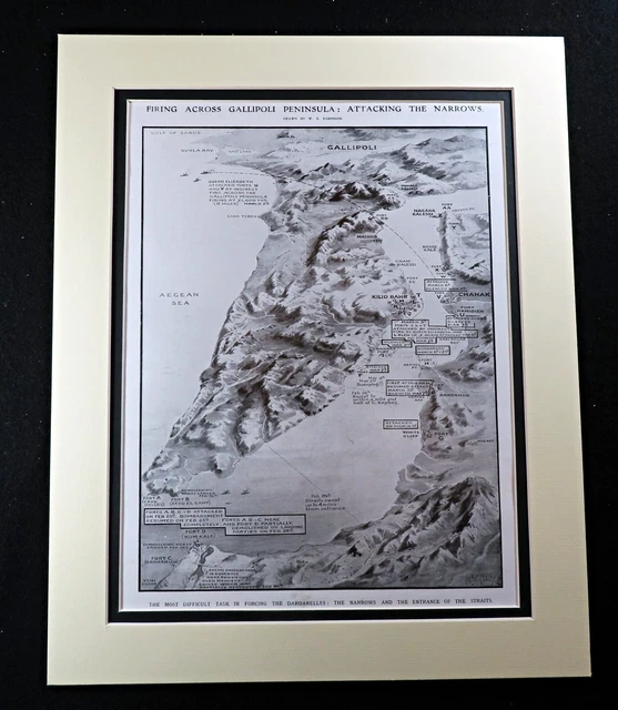 WW1 GALLIPOLI CAMPAIGN Map Military Positions Allied Axis Forces Print ...