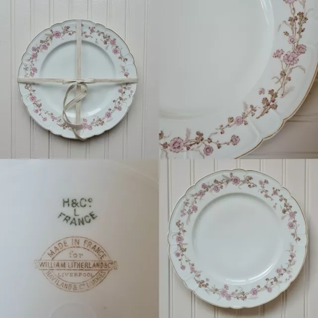 Beautiful Vintage French Dinner Plate (25.5cm) Haviland Co Limoges / Litherland 2