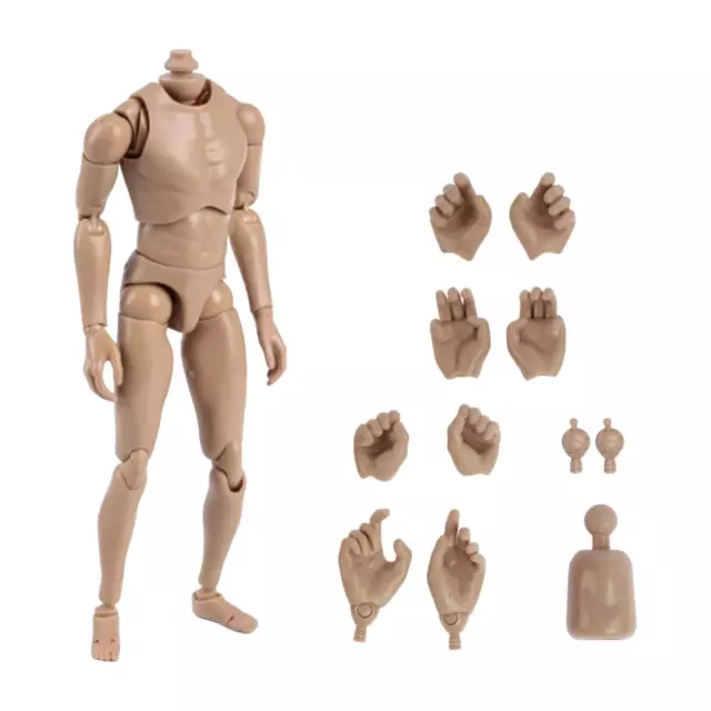 MCCToys 1/12 Scale Male Body Doll Narrow Shoulder Action Figure Model Set  6inch