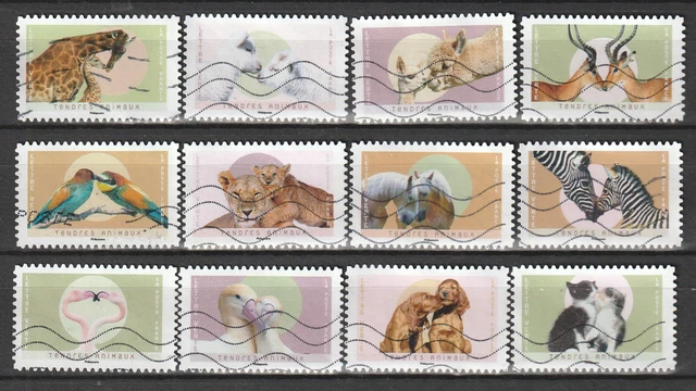 Dernière Nouveauté 2023: " Tendres Animaux "