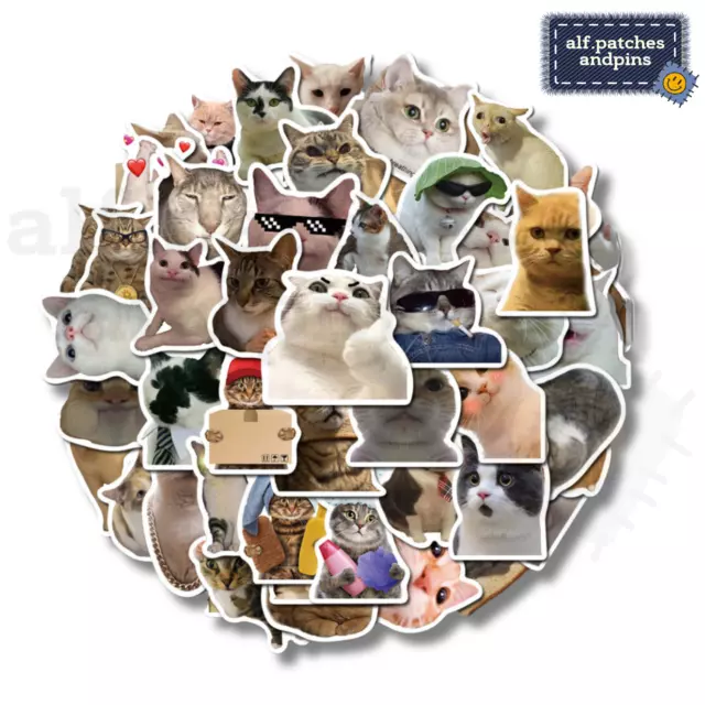 Katzen Cat MEME Fun Lustige Sticker / Aufkleber Set - Sammeln, Geschenk, 50 stk