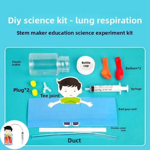 KIDS DIY PHYSIOLOGY Model Of Lung Movement For Science Education And Handson $14.64 - PicClick AU