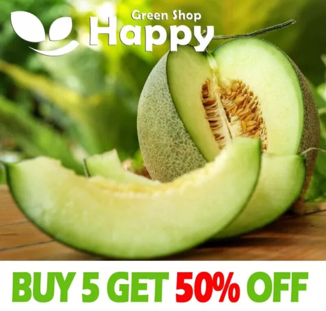 VEGETABLE SEEDS MELON HONEYDEW - 50 SEEDS - Cucumis melo