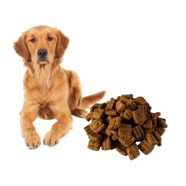 5kg Nourriture pour chiens Croquettes toutes races Universel