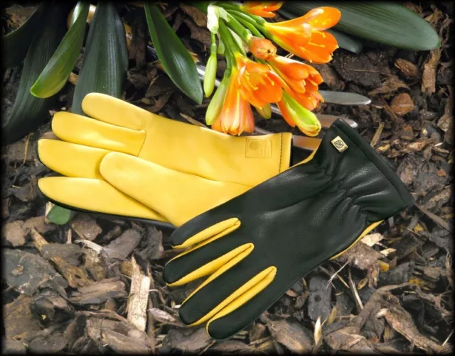 Genuine Gold Leaf Dry Touch Gardening Gloves Mens Free Fast Tracked Delivery