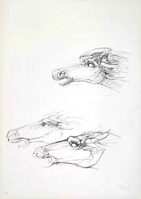 "Cavalli" Litografia bianco e nero di Fabrizio Clerici, cm 50x70 del 1977