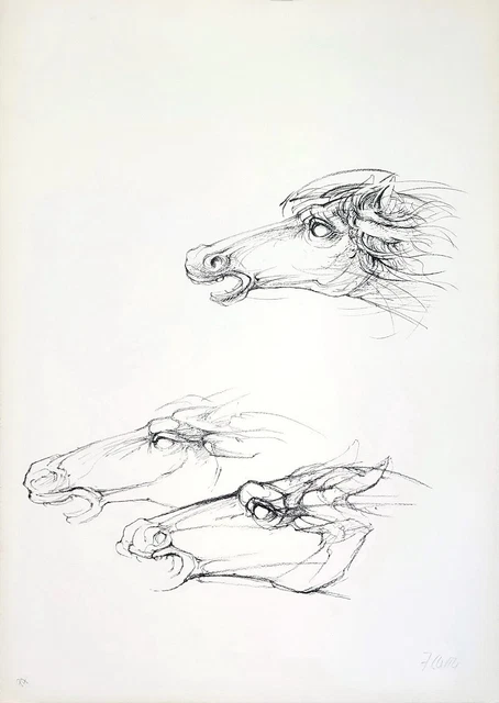"Cavalli" Litografia bianco e nero di Fabrizio Clerici, cm 50x70 del 1977