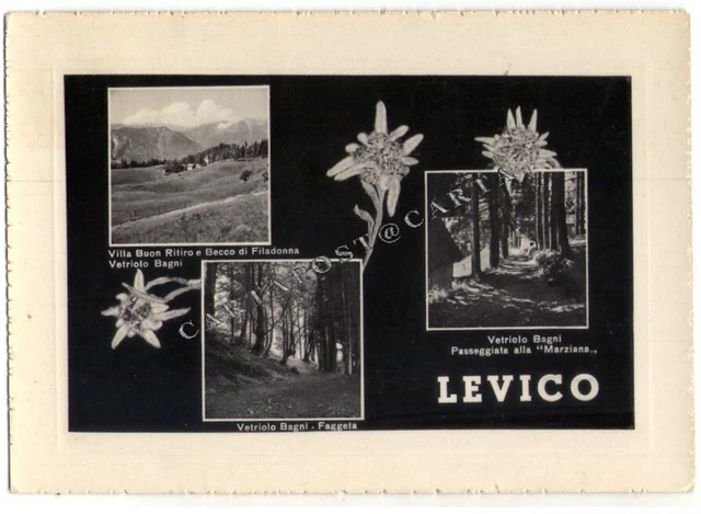 Levico - Saluti Stelle Alpine Vedute Vetriolo - FG VG 1962