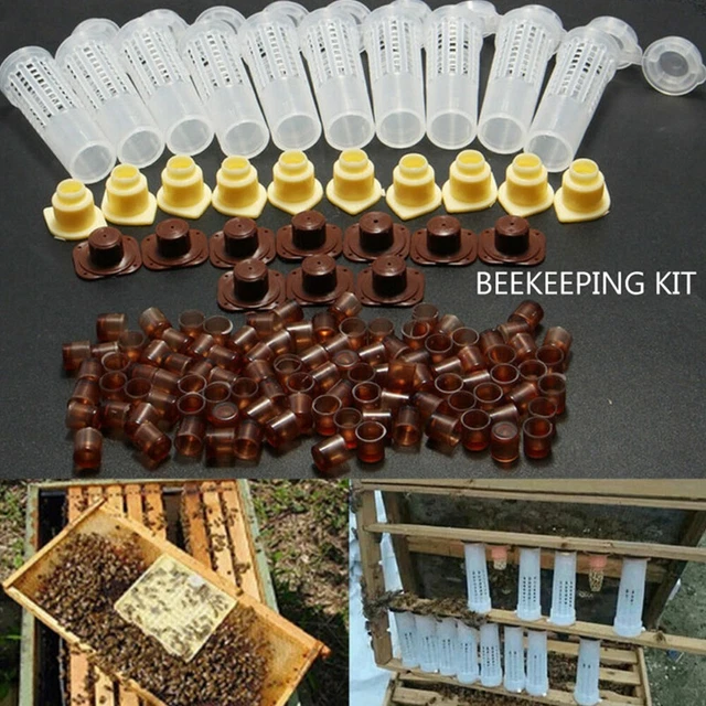 Kit de tazas de cría de suministros para abejas hogar jardinero exterior 1 juego marrón