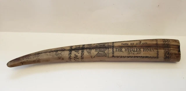 The Whaler Ionia 18th Nov 1837 Iceland Faux Scrimshaw D. Healey REPLICA 1st Mate