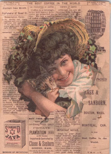 1880s Trade Card Chase & Sunburn Java Coffee Girl Cat